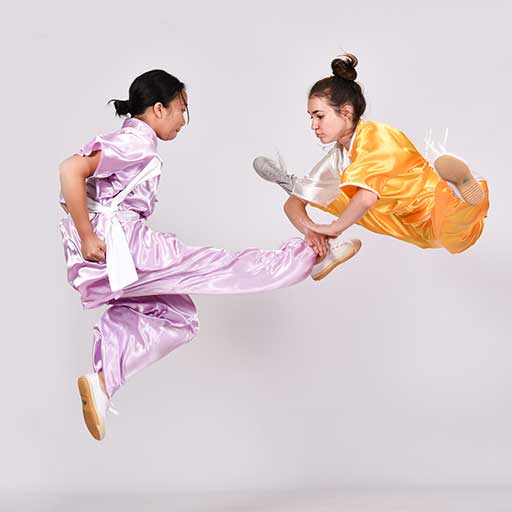 Wushu